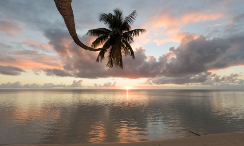Pension Moorea Beach Lodge